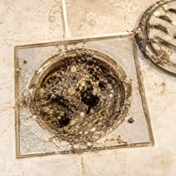Drain Line Cleaning